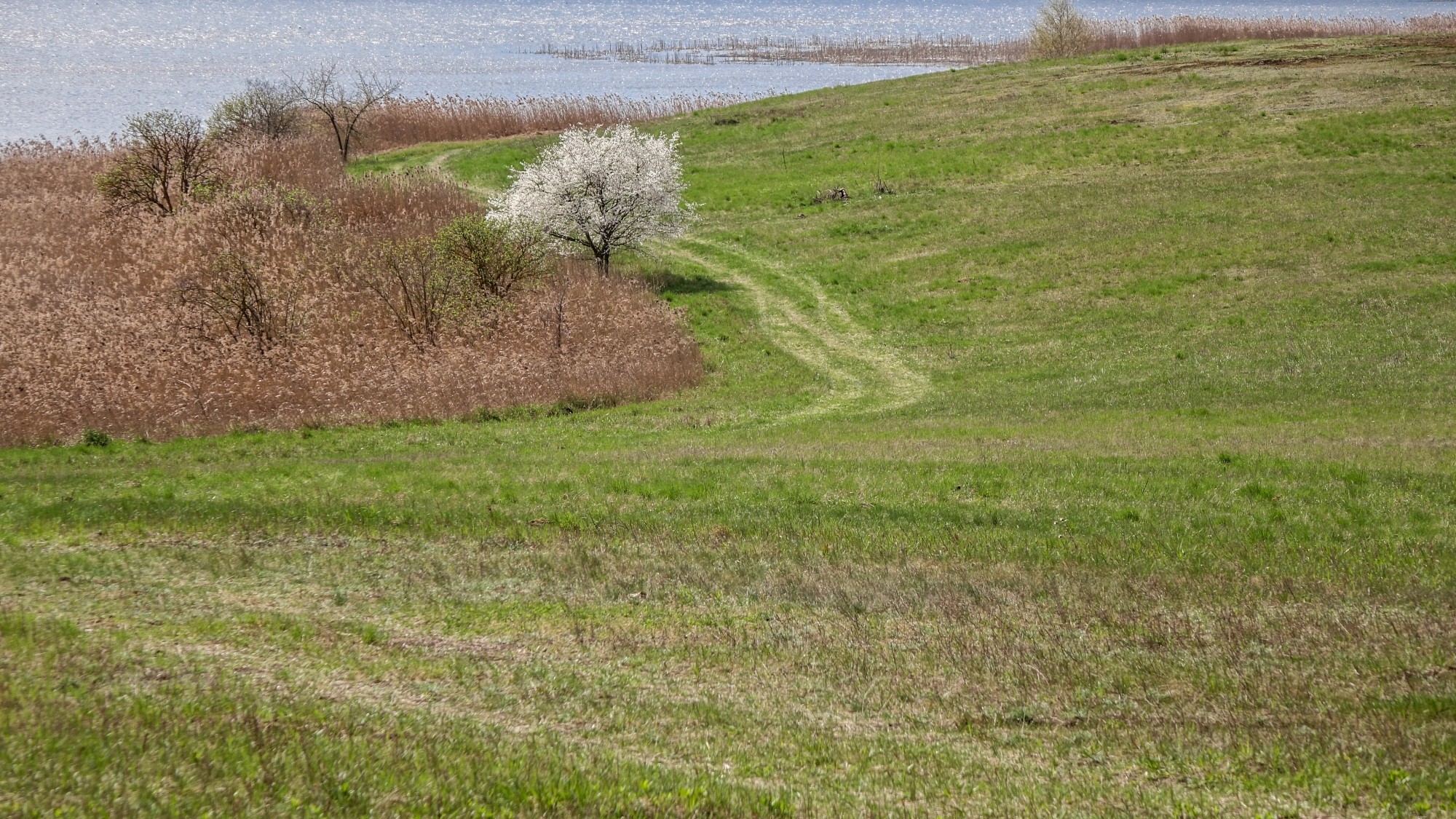 Mazury wiosną - zdjęcie 40