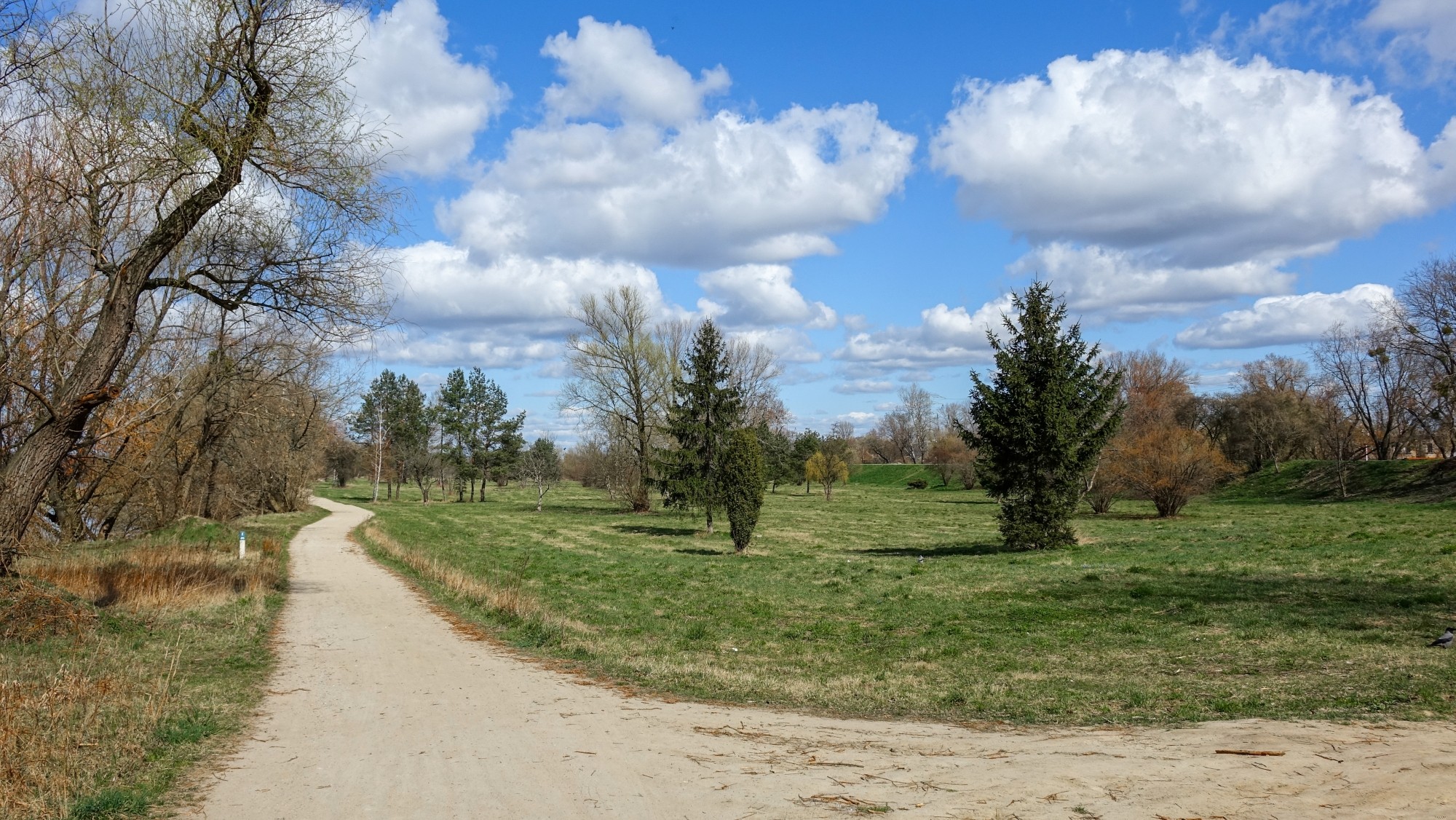 Podróż przez wiosenną Polskę - zdjęcie 14