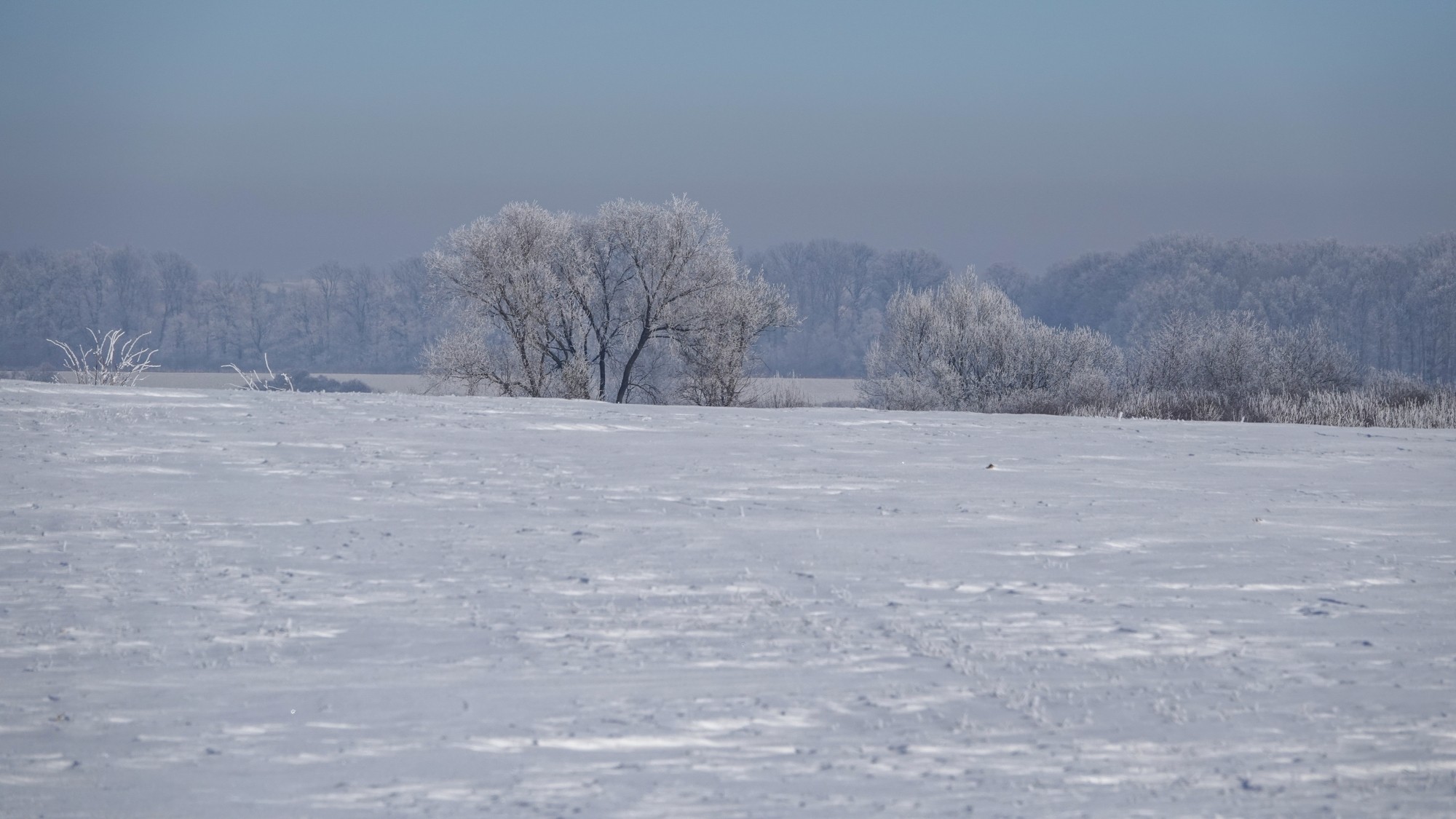 Kraina Narnii - zdjęcie 44