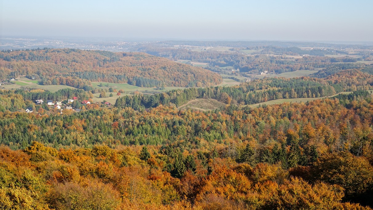 Polskie krajobrazy w 2018 roku - zdjęcie 67