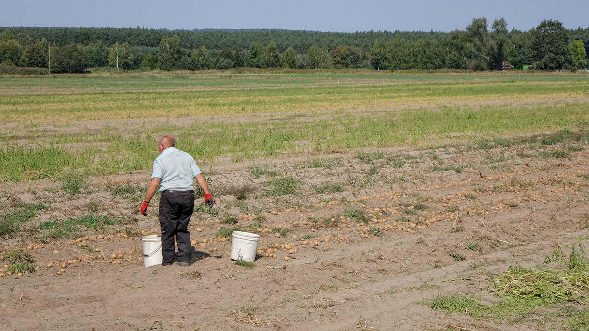 Wrzesień w obiektywie - zdjęcie 34