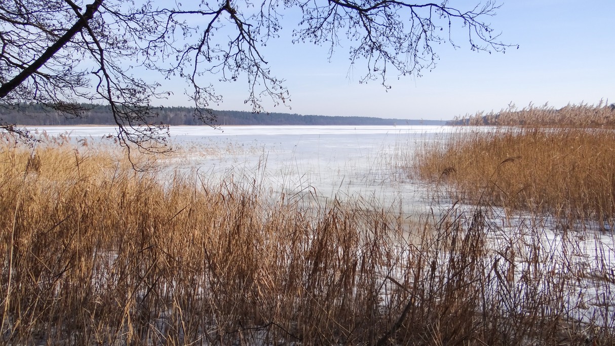 Piękno polskich krajobrazów - zdjęcie 41
