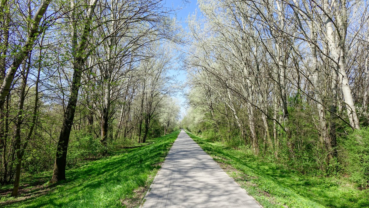 Kwiecień w obiektywie - zdjęcie 39