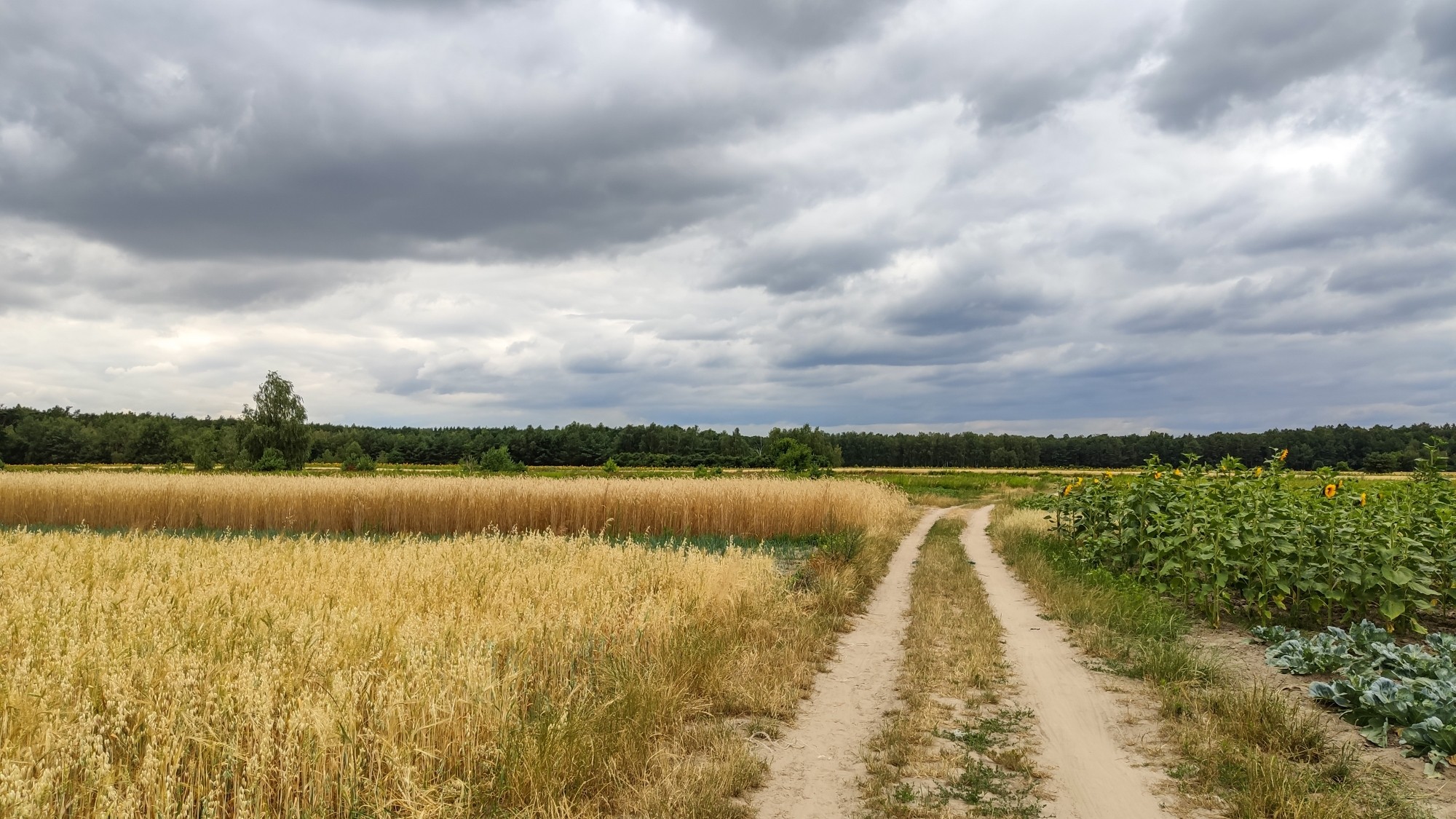 Całe piękno polskiej prowincji - zdjęcie 76