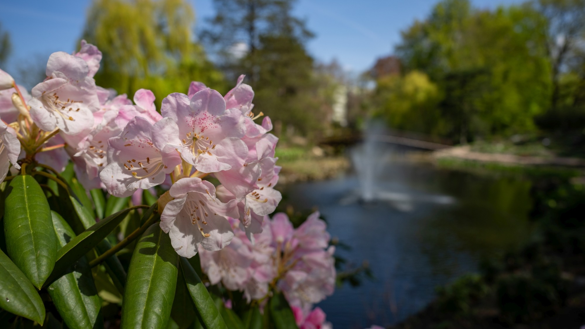 Wiosenna opowieść - zdjęcie 11