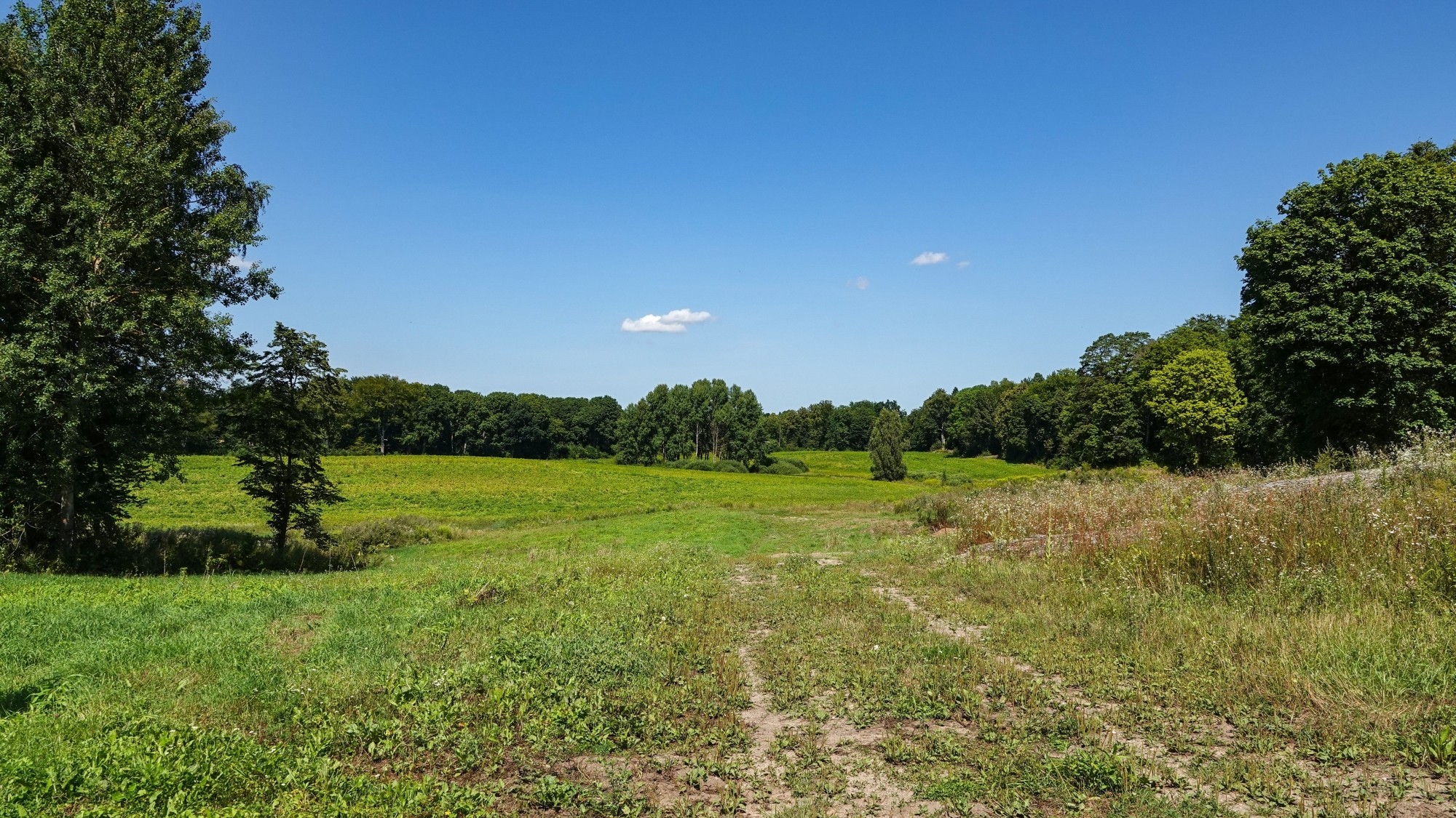Na pożegnanie lata - zdjęcie 38