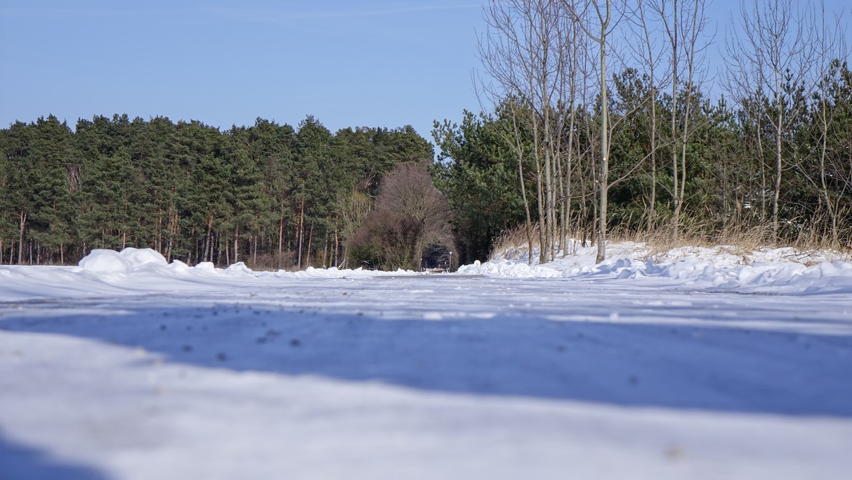 Marzec w obiektywie - zdjęcie 55