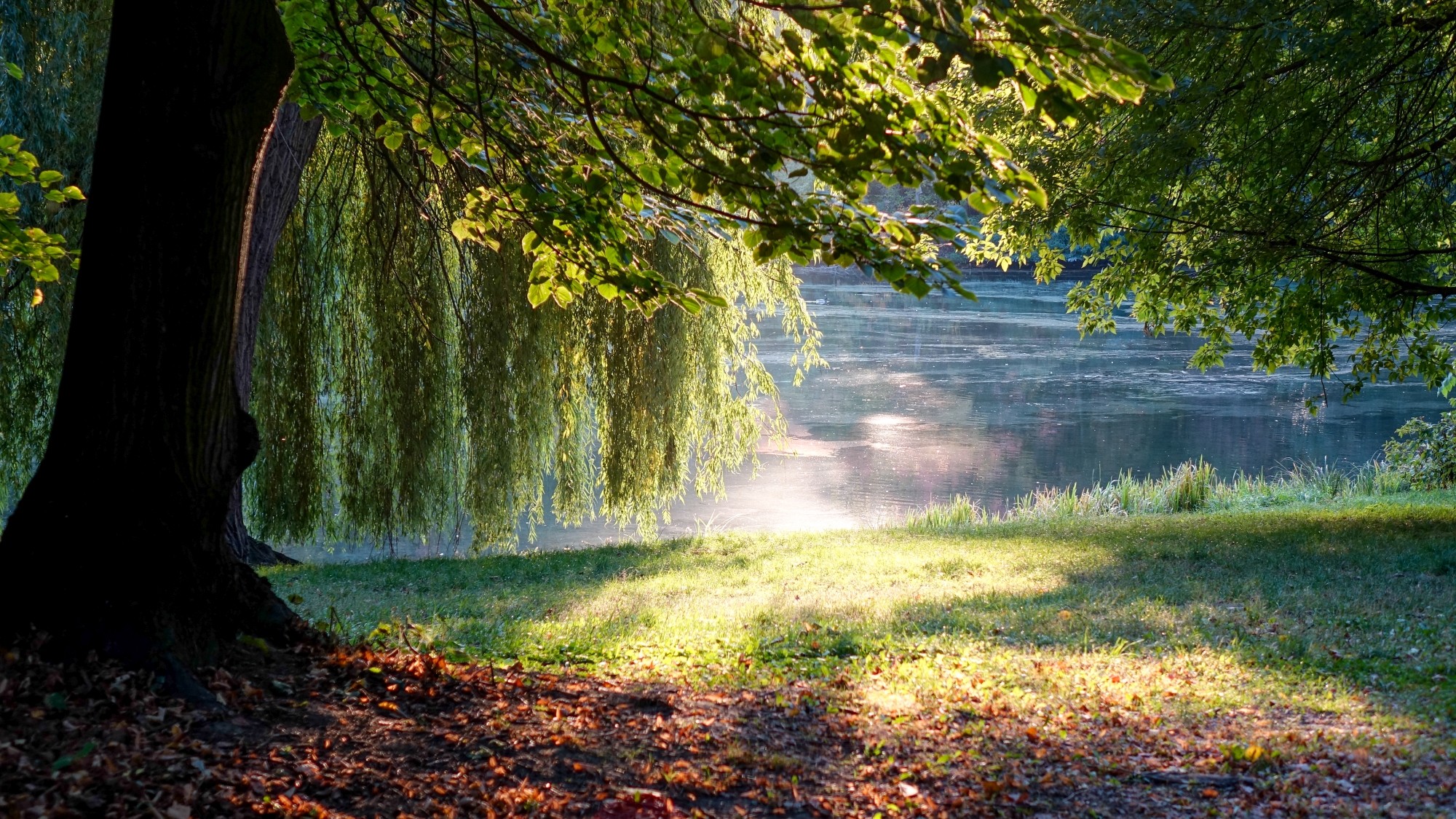 Odkryj piękno Polski w wakacje - zdjęcie 26