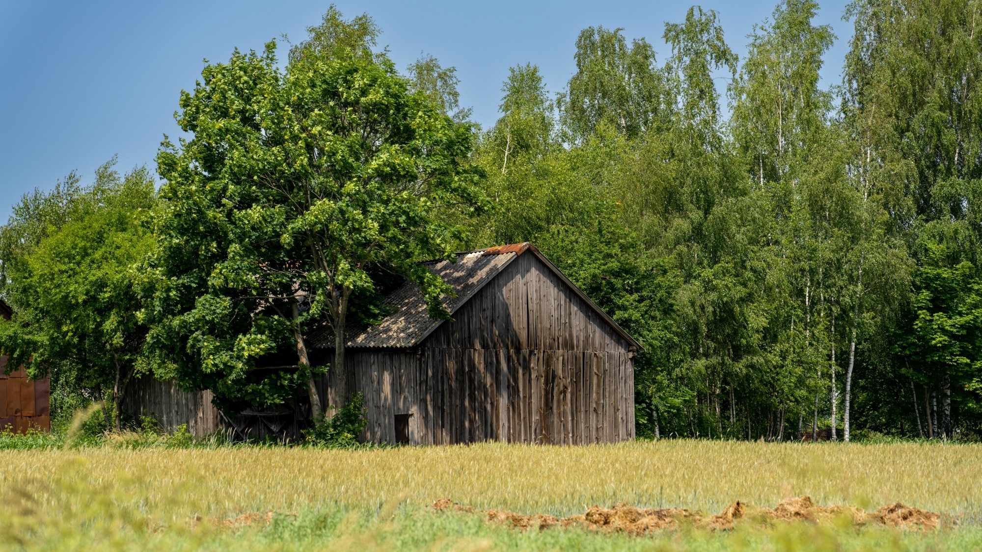 Lato na prowincji - zdjęcie 35