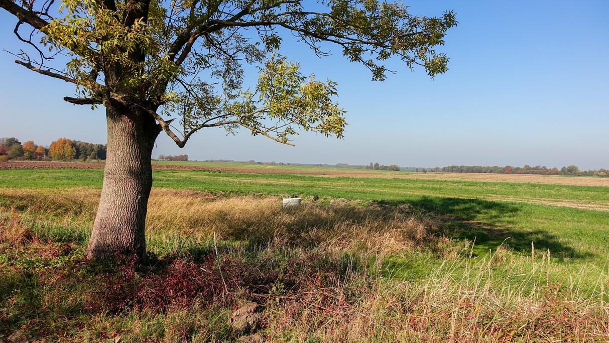 Jesienne krajobrazy za miastem - zdjęcie 19