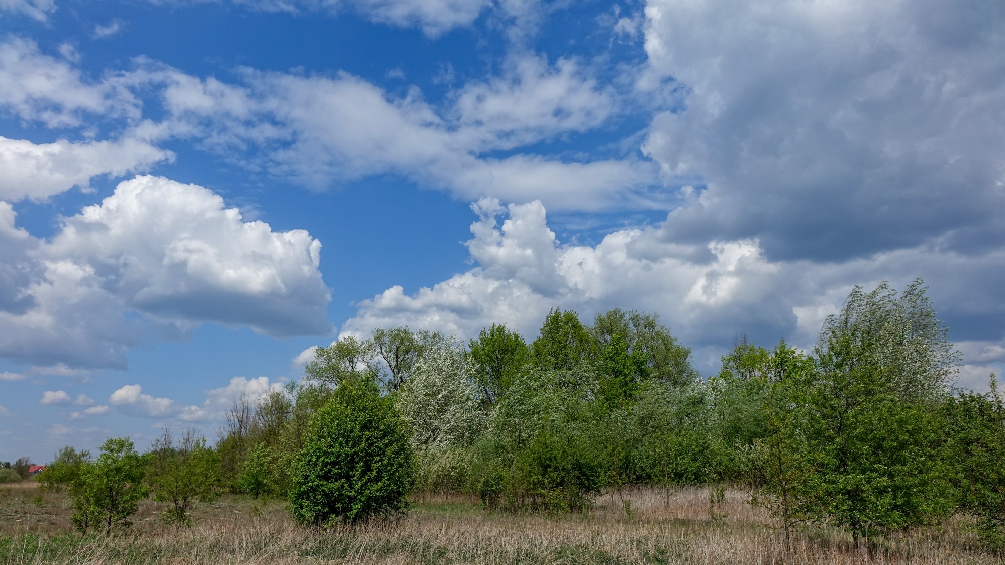 Maj w obiektywie - zdjęcie 29