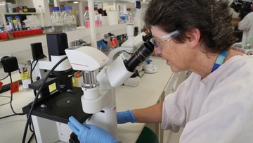 Australijczycy zaczynają testy szczepionki na koronawirusa