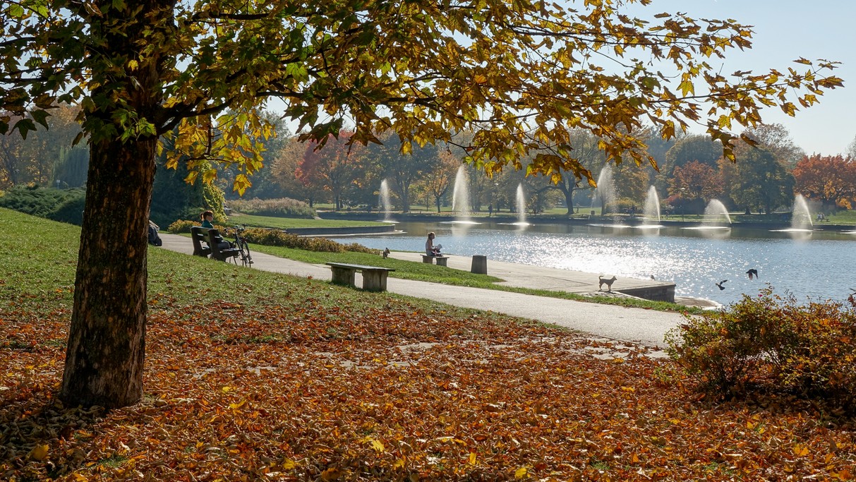 Barwy jesieni - zdjęcie 10