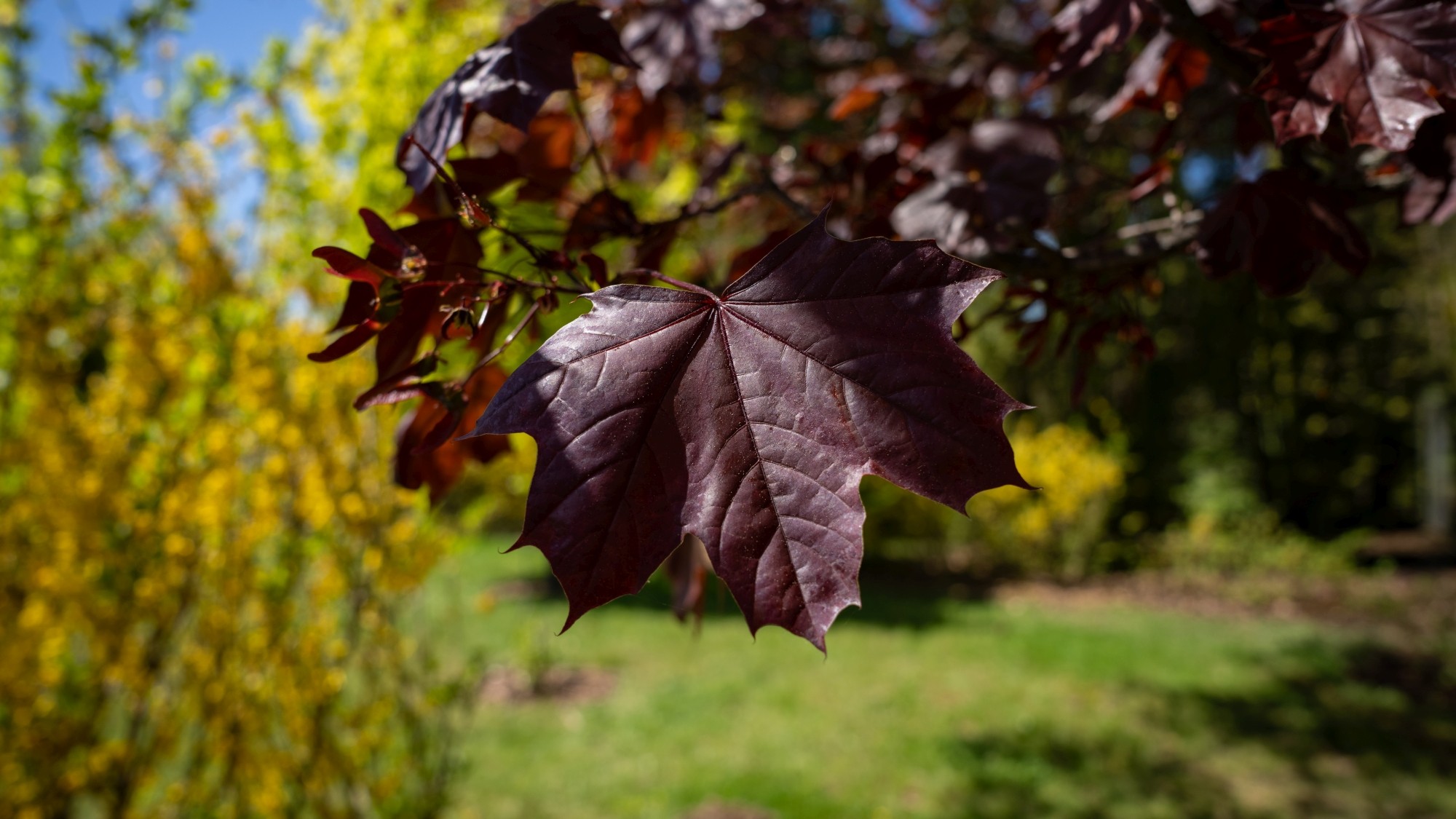 Wiosenna opowieść - zdjęcie 34