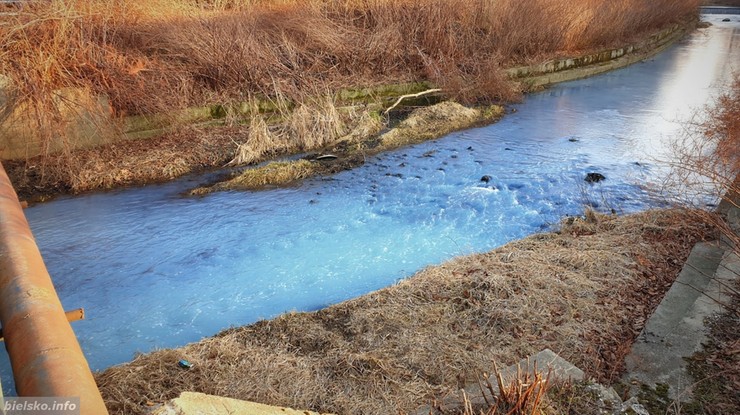 Nieznana substancja wyciekła do rzeki Wapienica. Woda zmieniła kolor na błękitny