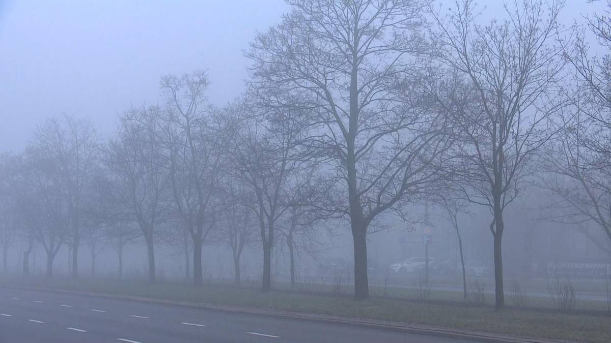 Uwaga na mgły i marznący deszcz. Są ostrzeżenia IMGW