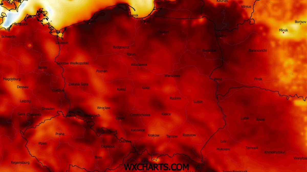 Dzień Kobiet 2026 również będzie słoneczny i spokojny - prognozuje IMGW