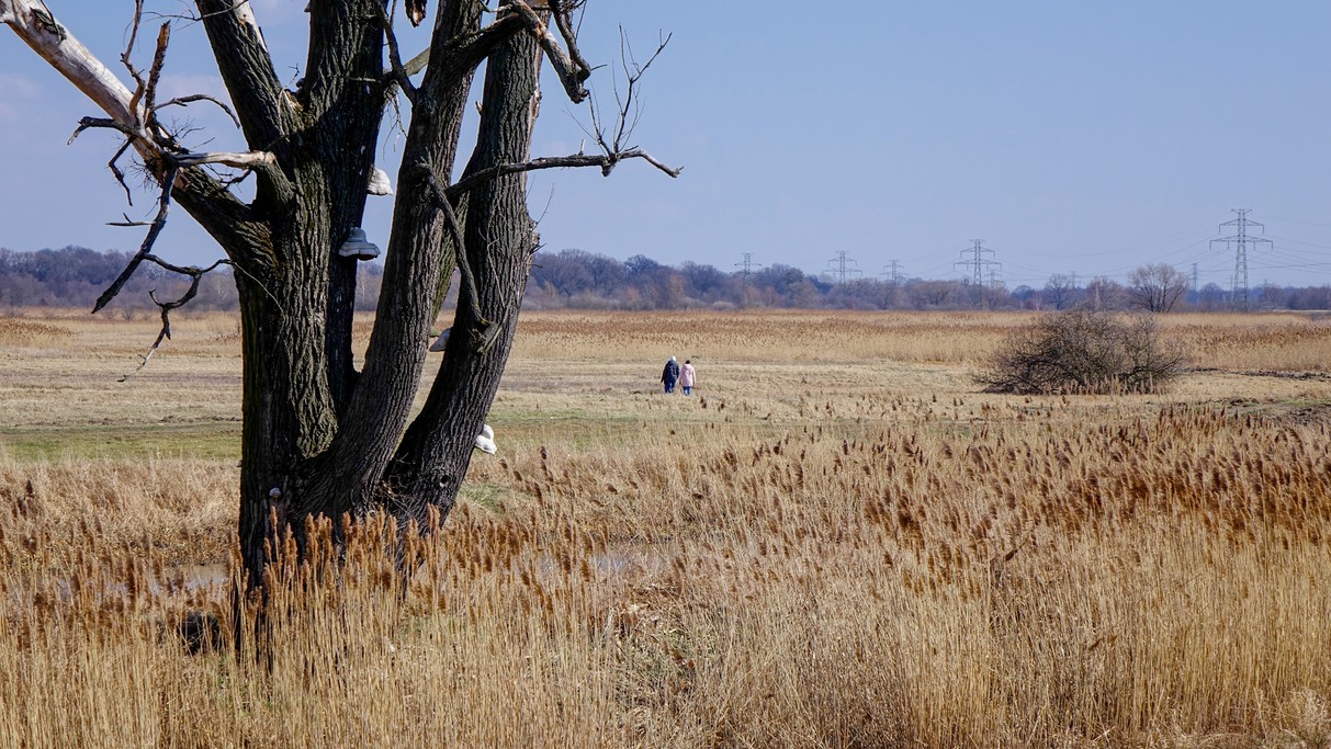 Kwiecień w obiektywie - zdjęcie 11