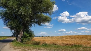 20.09.2020 00:00 Na pożegnanie lata