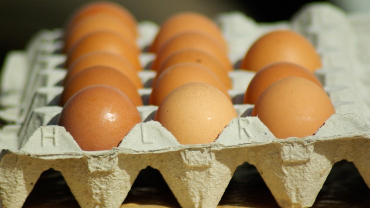 Ponad 4 mln sztuk jaj skażonych antybiotykiem trafiło do sklepów. Wydano nakaz wycofania z obrotu