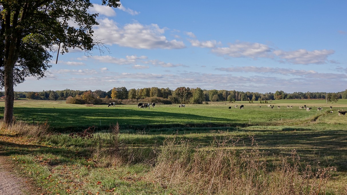 Lipiec w obiektywie - zdjęcie 30