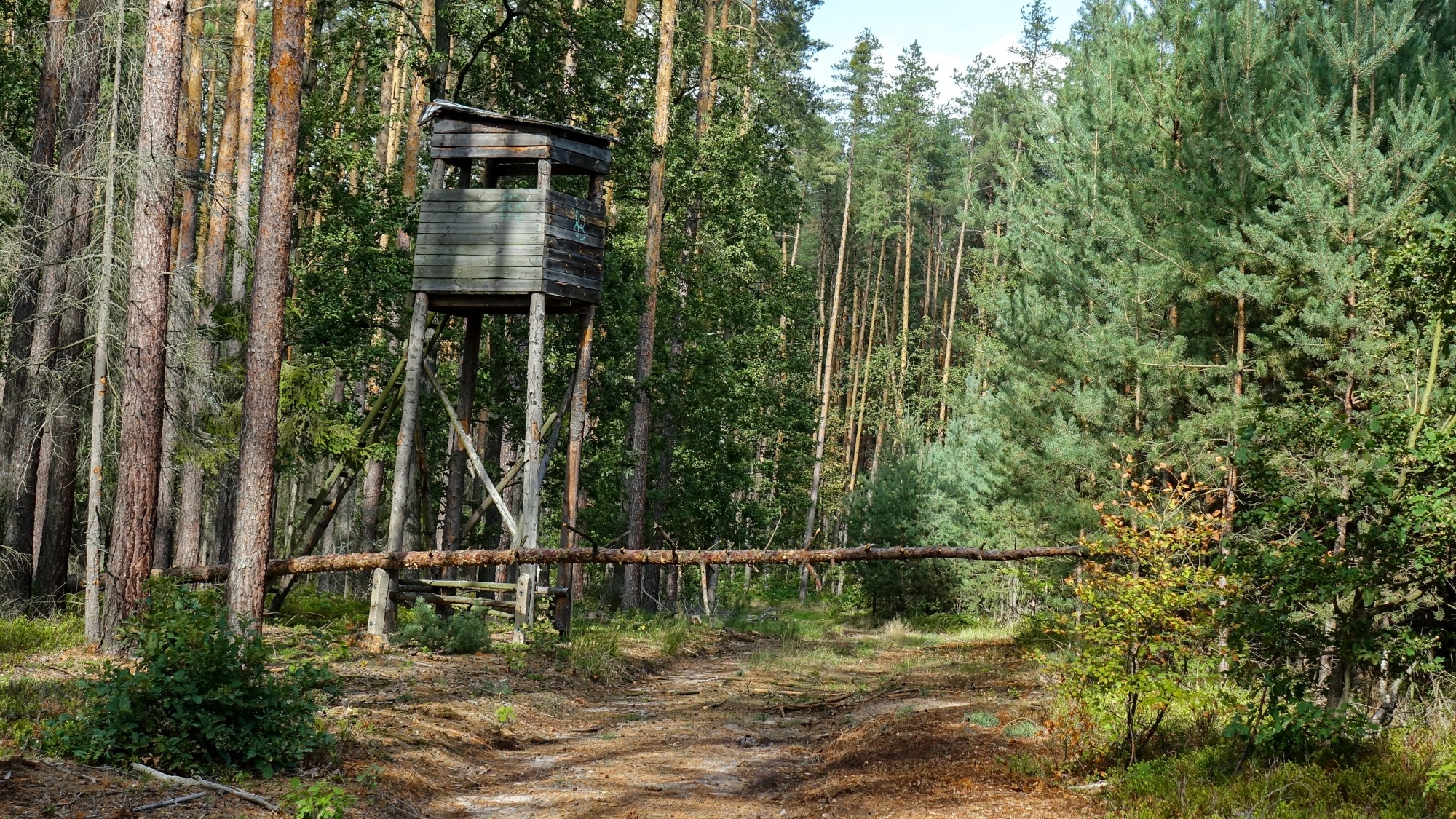 Wrzesień w obiektywie - zdjęcie 35