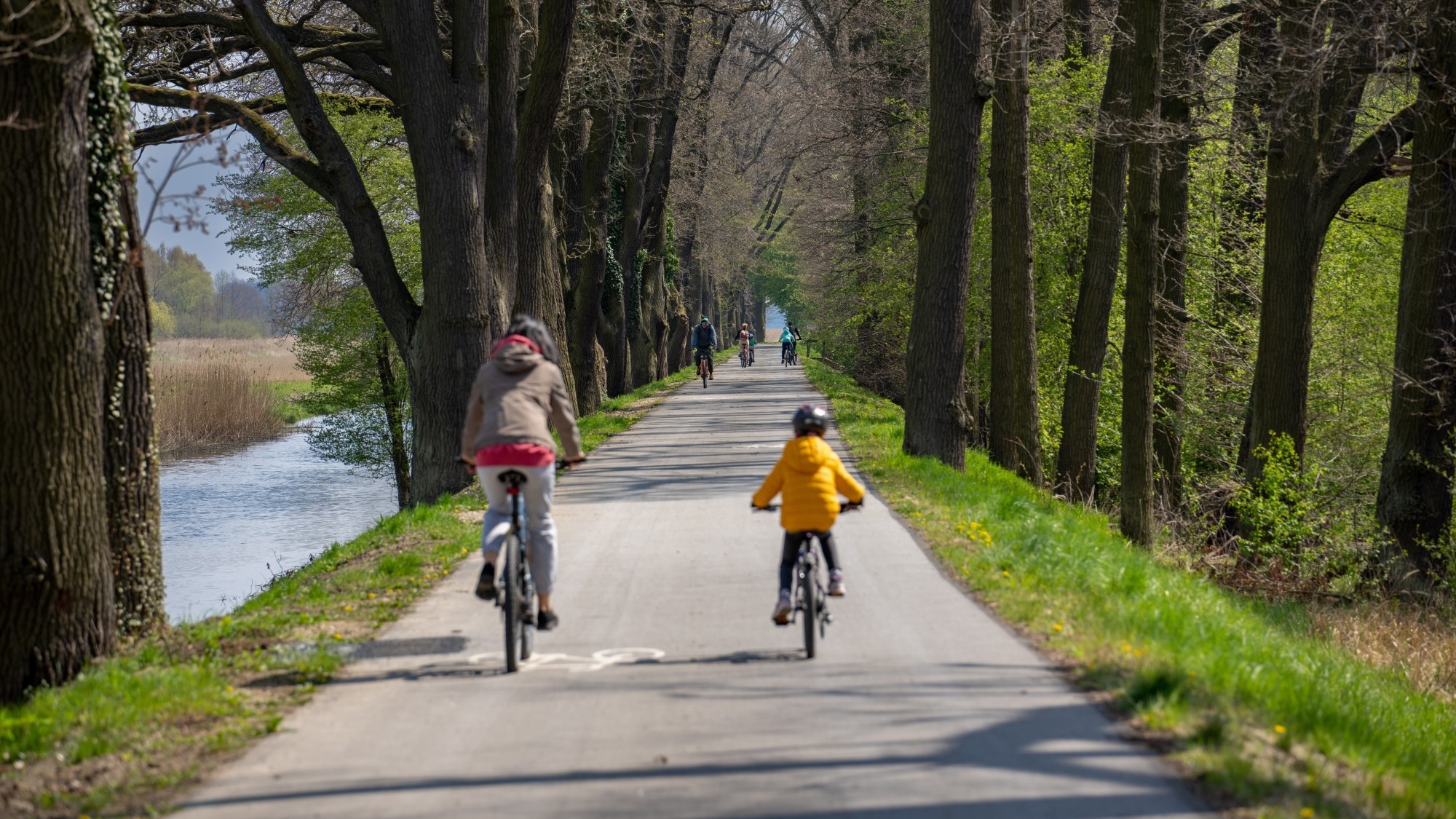 Wiosenna opowieść - zdjęcie 15