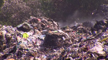 Prokuratura Krajowa na tropie "mafii śmieciowej". Zleciła analizę prowadzonych postępowań