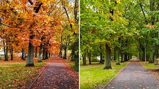 20.10.2022 05:59 Od 18 lat robimy zdjęcie w tym samym dniu i miejscu. Wyszło z tego zaskakujące porównanie