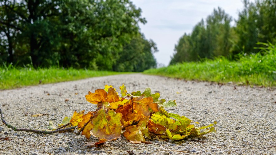 Ostatnie godziny jesieni z zielonymi krajobrazami. Fot. TwojaPogoda.pl
