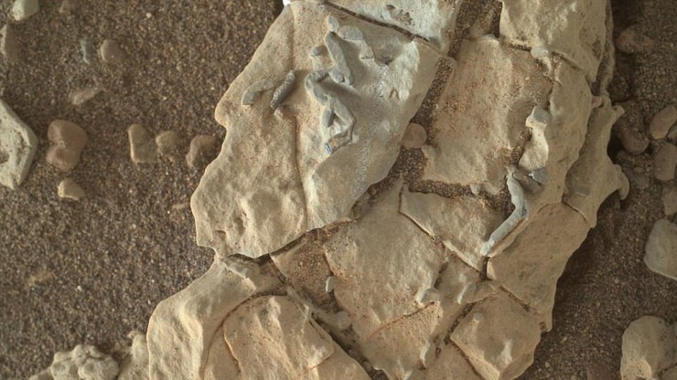 Łazik Curiosity odkrył na Marsie coś bardzo dziwnego. Spekulacje po opublikowaniu zdjęć "skamieniałego życia"