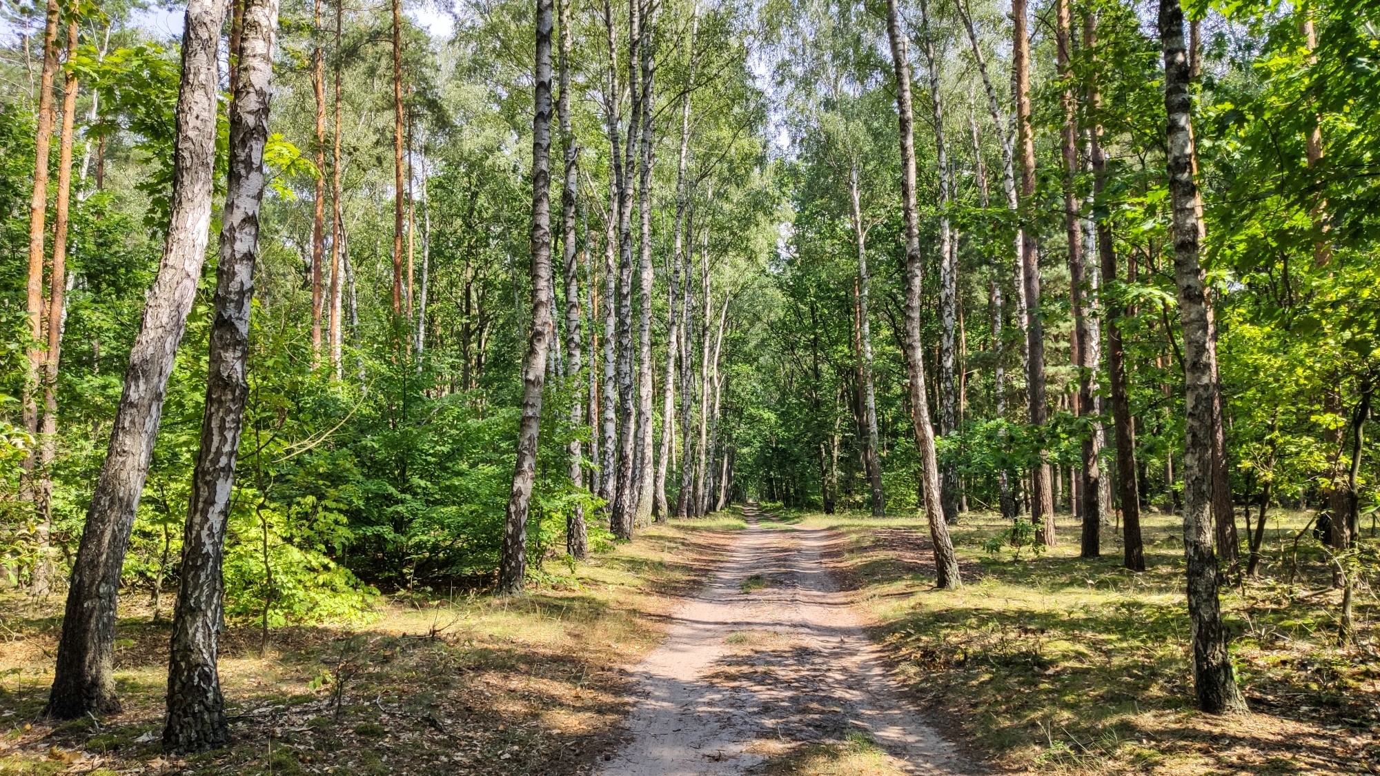 Koniec lata w pięknej Polsce - zdjęcie 31
