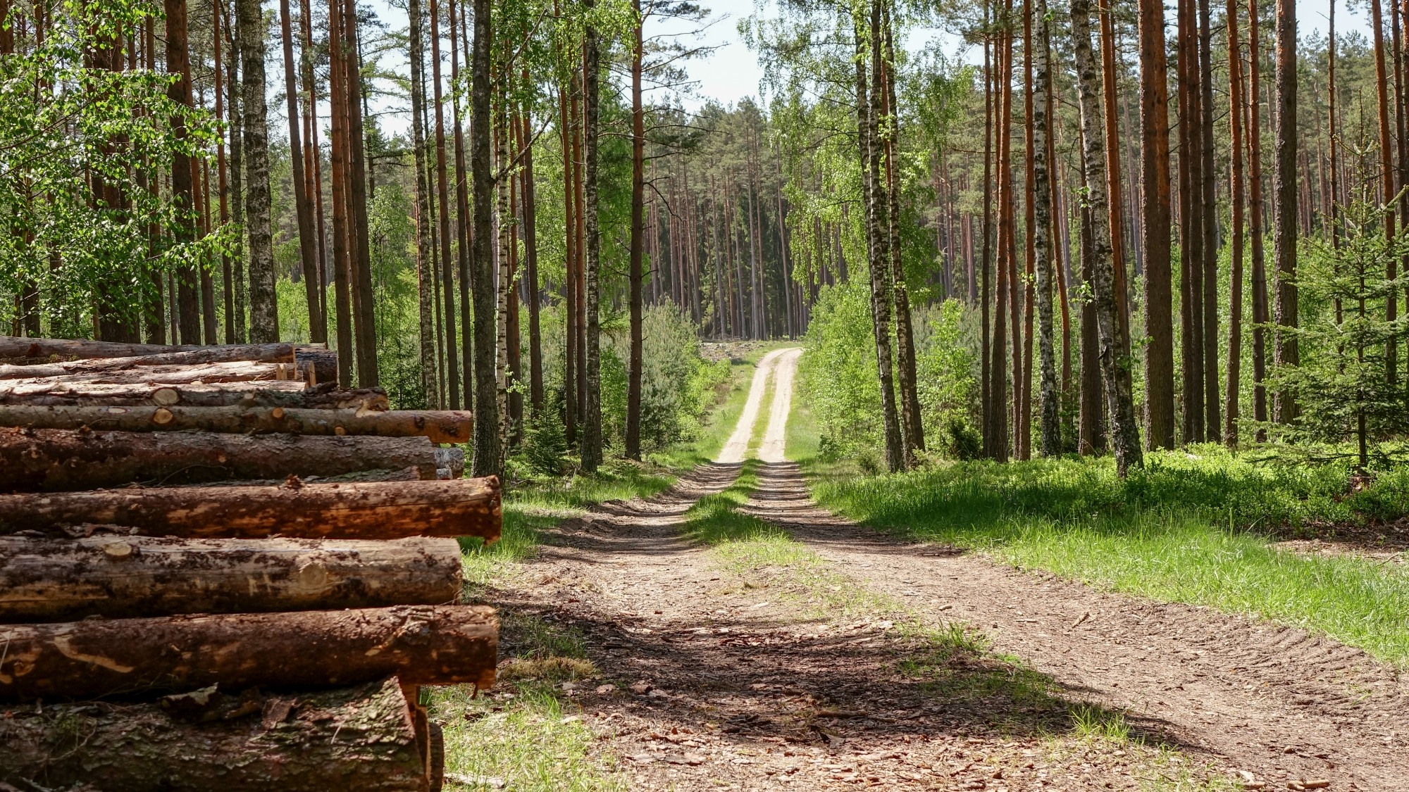 Odkryj piękno Polski w wakacje - zdjęcie 102