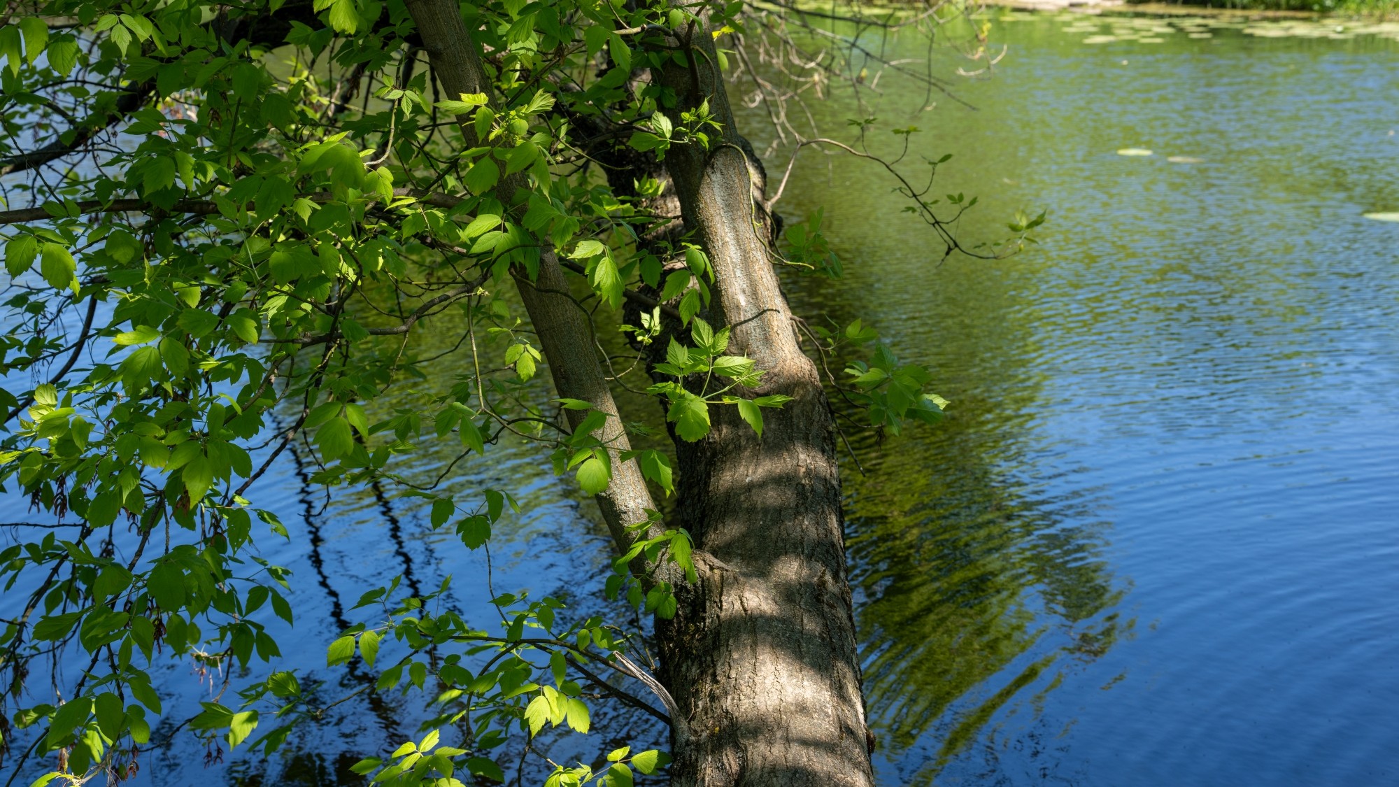 Wiosenna opowieść - zdjęcie 30