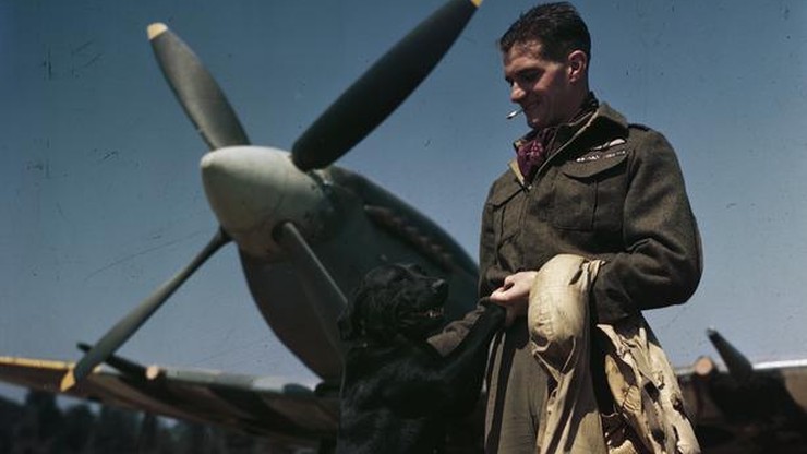 Pilot RAF James 'Johnnie' Johnson z labradorem Sally w Normandii (31 lipca 1944).
