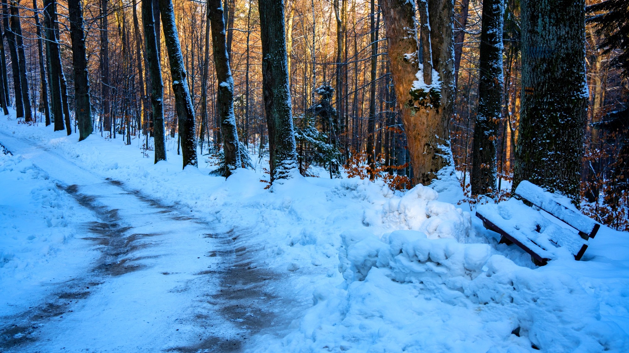 Zima w górach - zdjęcie 37
