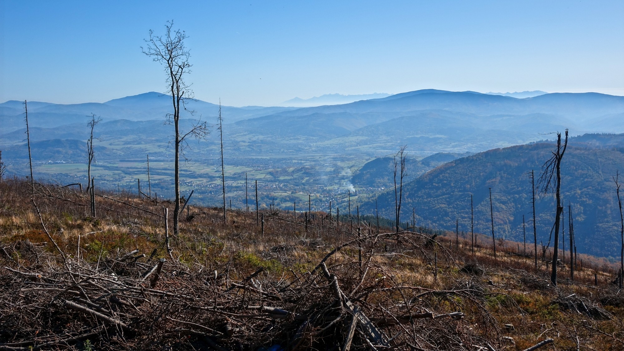 Całe piękno polskiej prowincji - zdjęcie 49