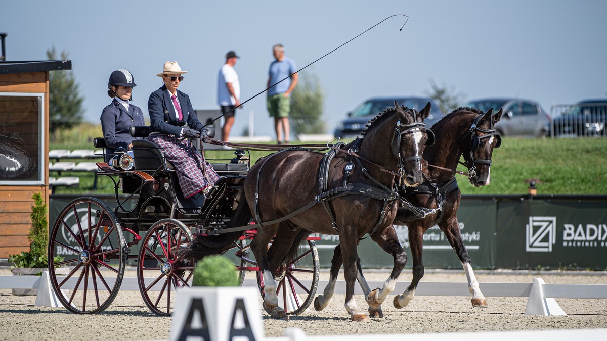 Baborówko Driving Show z udziałem największych gwiazd ze świata powożenia