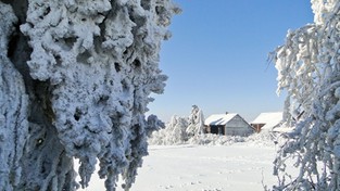 08.02.2021 09:12 Jeśli sprawdzi się czarny scenariusz, to Polska zmieni się w małą Syberię. Będzie przeszło minus 30 stopni