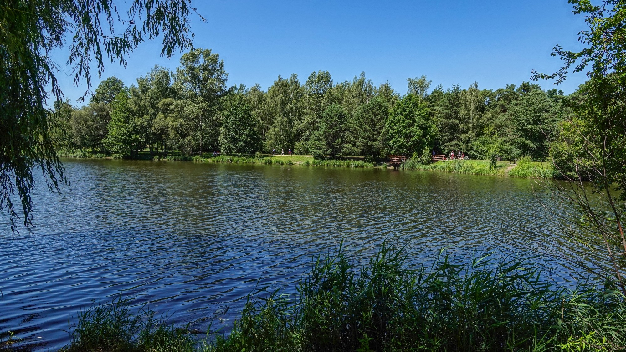 Środek lata w plenerze - zdjęcie 33