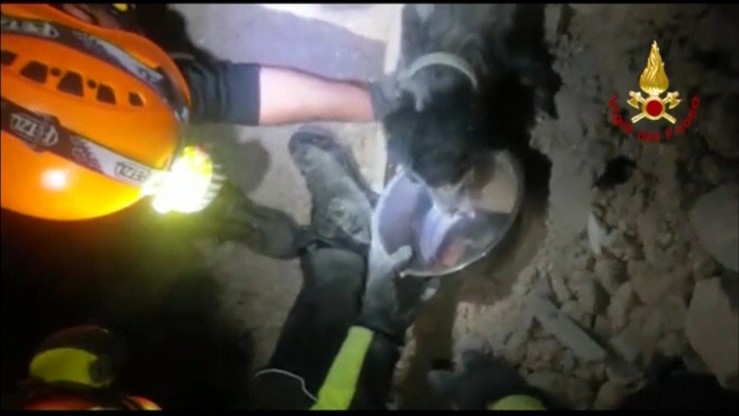 Włoscy ratownicy odkopali psa z gruzowiska. Przeżył trzęsienie ziemi