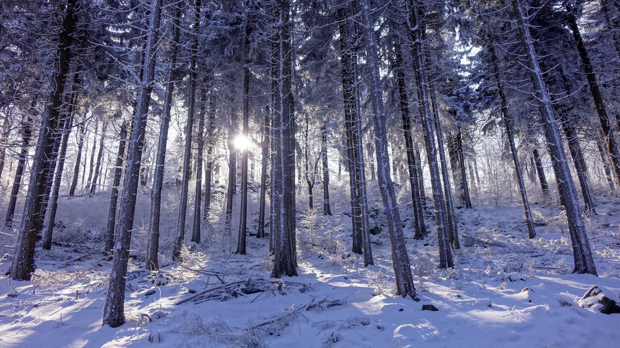 Całe piękno polskiej prowincji - zdjęcie 14