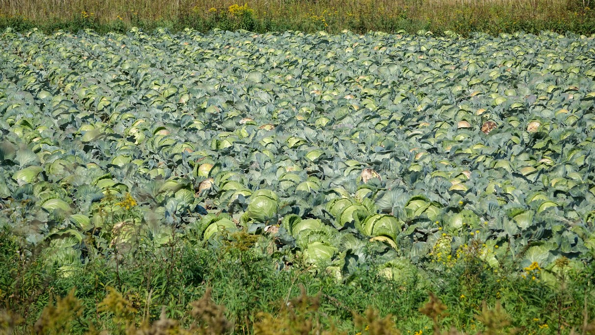 Wrzesień w obiektywie - zdjęcie 45