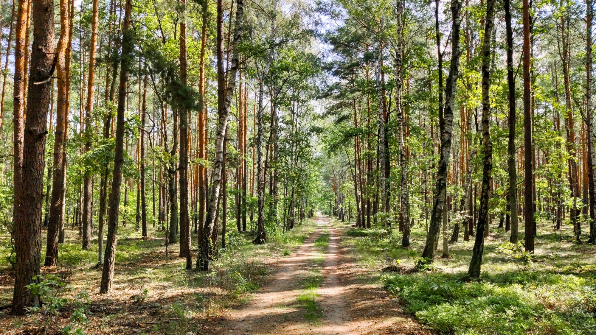 Sierpień w obiektywie - zdjęcie 26