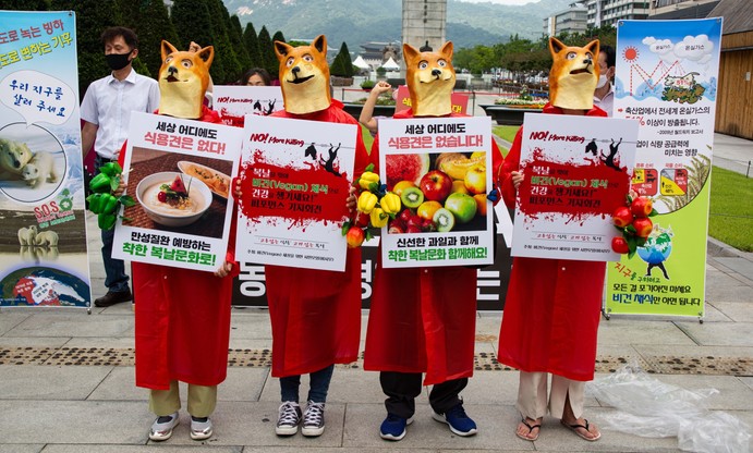 Urządzili udawany "psi pogrzeb". W przebraniach protestują przeciwko jedzeniu mięsa