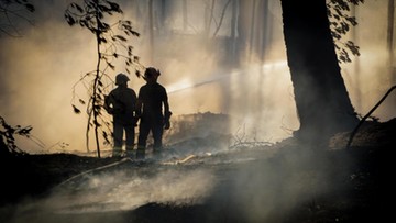 Pożary lasów w Kanadzie. 37 tys. osób zmuszonych do ucieczki