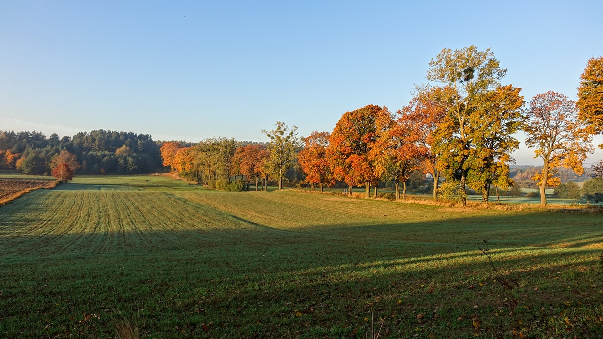 Barwy jesieni - zdjęcie 27
