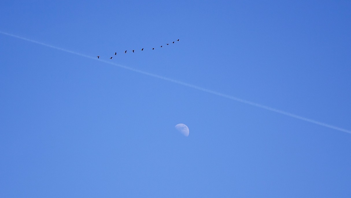 Marzec w obiektywie - zdjęcie 15