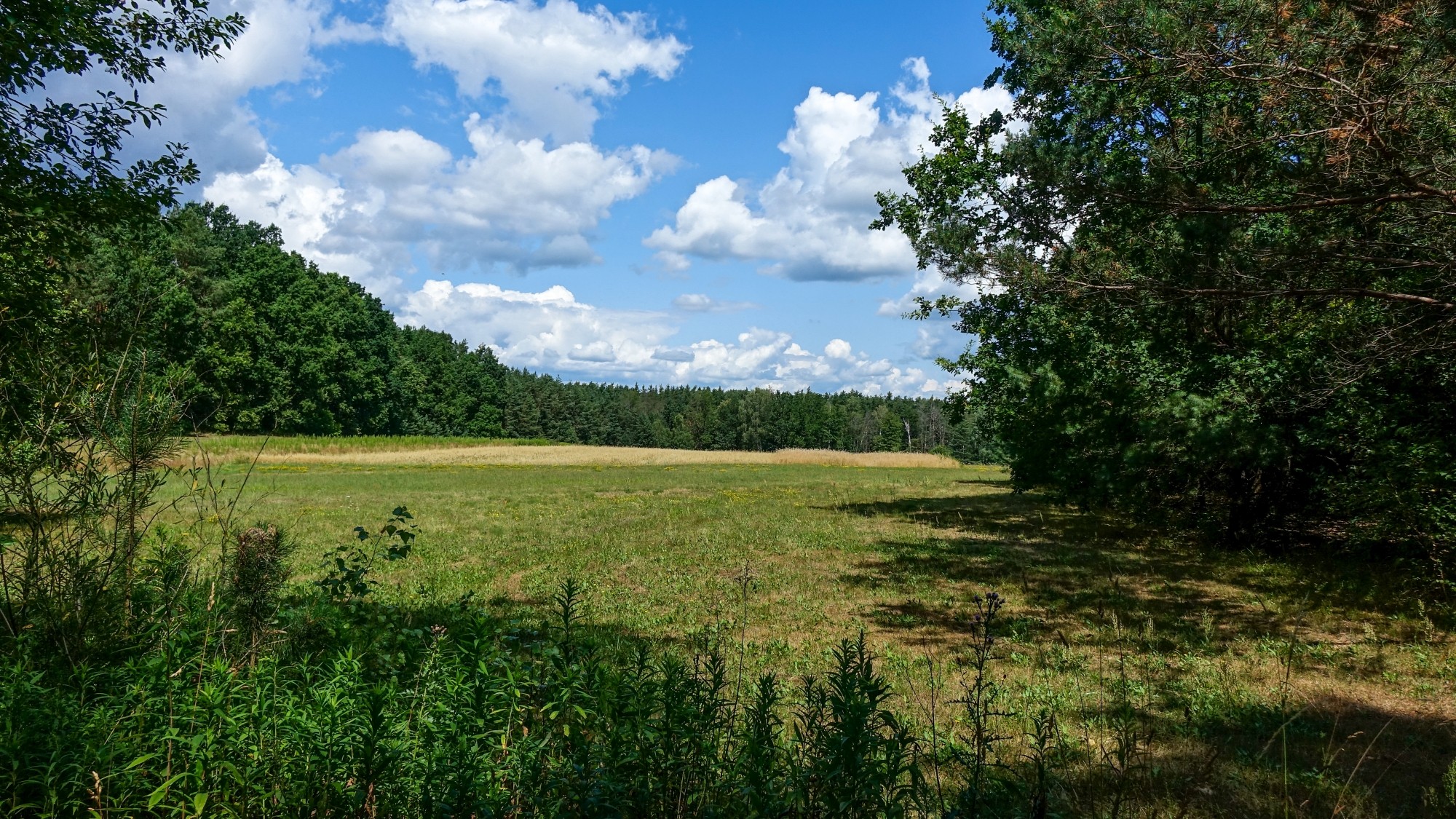 Lipiec w obiektywie - zdjęcie 46