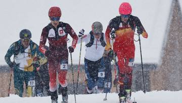Nowa dyscyplina na igrzyskach stała się dla nich punktem zwrotnym. "Najlepszy wynik w historii"